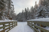 Cross country ski tracks on the Mickelson Trail.jpg